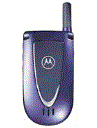 Best available price of Motorola V66i in Portugal